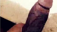 Trannys need love too