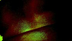 amateur black guy swallows cum in this video.