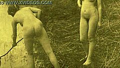 my secret life in 19th century english diaries