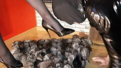 Slave worships legs in pointed shoes, kisses and licks fetish feet