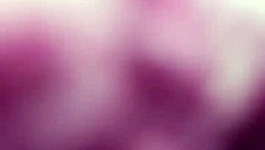 Hidden camera captures bhabhi's activities