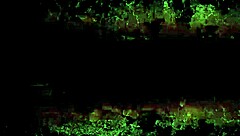 Can You Handle This Vintage Interracial Threesome Action?