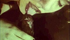 Can You Handle This Vintage Interracial Threesome Action?