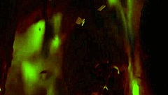 Farewell To You, Teen 18+ Lesbian Muff Diving, Big Ass Pussy Cum In Costumes, Girlfriend Sex Fun