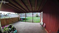 part 1 broad daylight wife back porch sucking and fucking into a cream pie as cars drive by