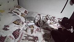 Couple Shares Intimate Moments with Sucking and Licking