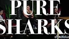 british cfnm group dives into wild femdom handjob session