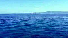 Drone captures nudist beach exhibitionism