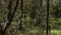 Gone for a walk on the river and i play with tits and pussy