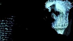 Dive into the captivating world of vintage photography with stunning women