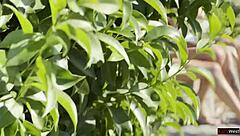 Amateurs Meet Couple At Water Park For Threesome With Double Penetration