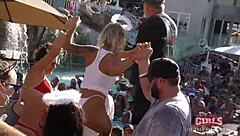 those insane sluts twerk their pussies at the key west pool party