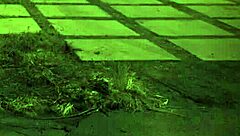 teen milf gets dominated and fucked outdoors in extreme bdsm