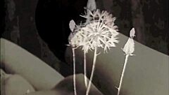 Vintage porn from two centuries