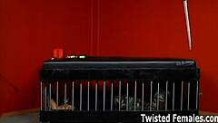 are you just trash to me, ready to be dominated?