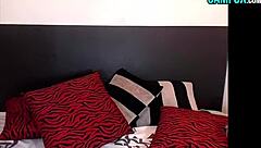 hot latina trans woman in usa.