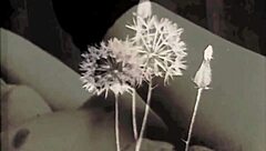 Dark Lantern Entertainment Presents Two Centuries Of Vintage Porn