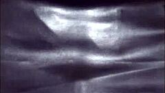 Who Wants to Fill My Virgin Mouth?