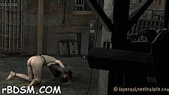 Captivating Brunette Babe Vibrates Her Wet Pussy Hard