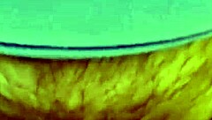 Amateur slut milf with huge tits leaks from pussy getting fucked