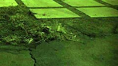 Amateur teen gets bound in rough domination sex