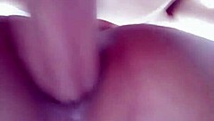 Oh, My Transsexual Bb Is So Hot!