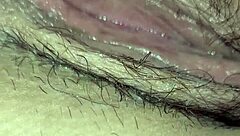 Stallion with big ass and pussy