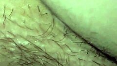 Stallion with big ass and pussy