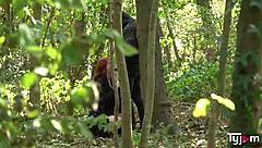 Alex Harper Strikes Again Hardcore