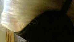 This Slut Loves Cum, Deepthroating And Fucking Pussy With Dirty Talk