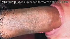 the thai girl sucking black cock