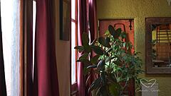 teaser - afternoon delight