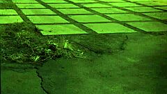 Is This Bad Slut Ready for Rough Anal?