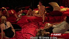 Horny Swingers Swap Partners In Red Room!