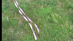 come outside and play with me