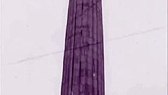 Vintage porn: 'Want to see hairy pussy fucking?'