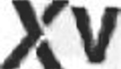 daiquiri vs suzie q in casting with monster cock