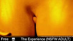 this is the experience in nsfw adult game with nude cartoon