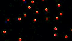 gay twink enjoys some fun with another guy in a casual setting