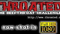 Sexy Honeys Sucking Dick in Provocative Ways