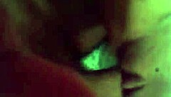 A sexy little dog in a fun adventure with friends