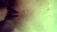 A sexy little dog in a fun adventure with friends