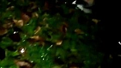 Cracky Accepts Cigarette And Explores Finger In Bum Outdoors