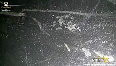 morena gostosa no gangbang com banging intenso