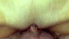 Detailed Description Of My Wife's Everyday Life And Adventures