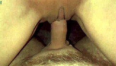 charlie bear gets really naughty in fun adventures