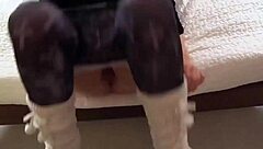 German Escort Sucks Cock While on Phone Call