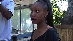 Fly bitches volume 2 scene 1