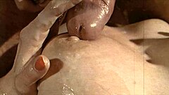 Vintage Closeups from My Secret Life Erotic Confessions