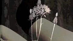 Vintage step sister secret liaison